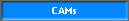 CAMs