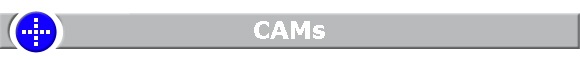 CAMs