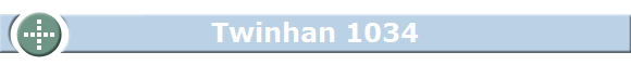 Twinhan 1034
